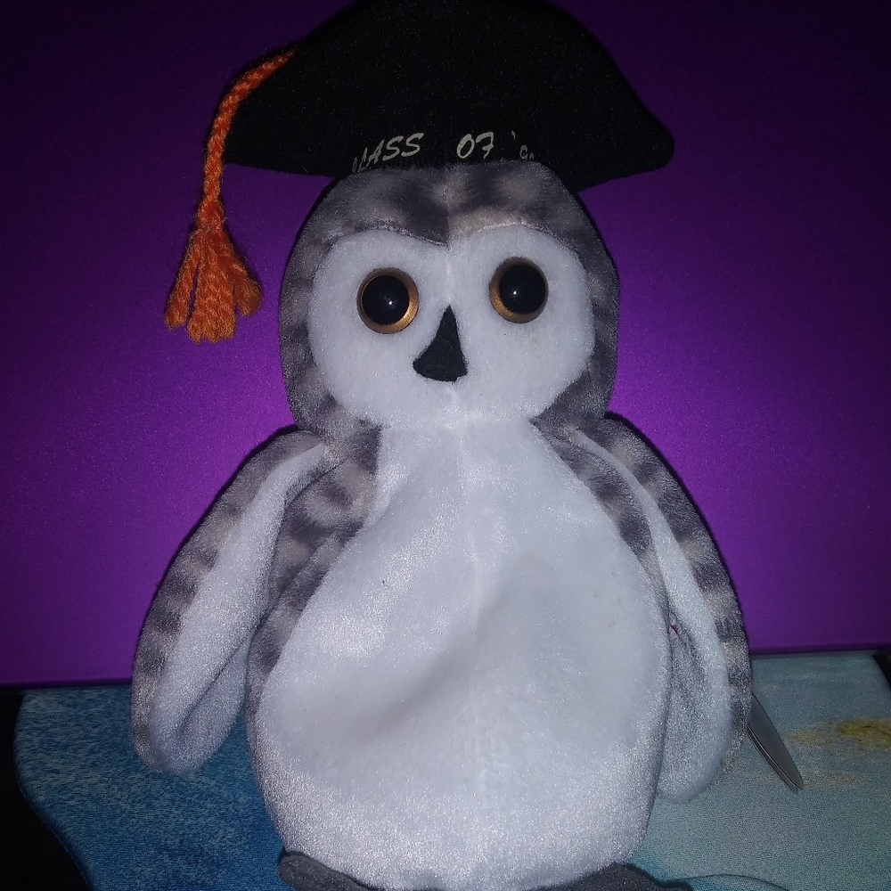 Wiser "Class of 1999" Owl 🦉